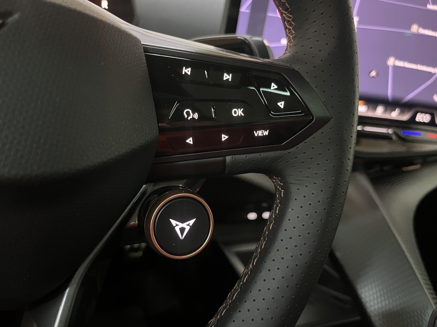CUPRA Tavascan 2025