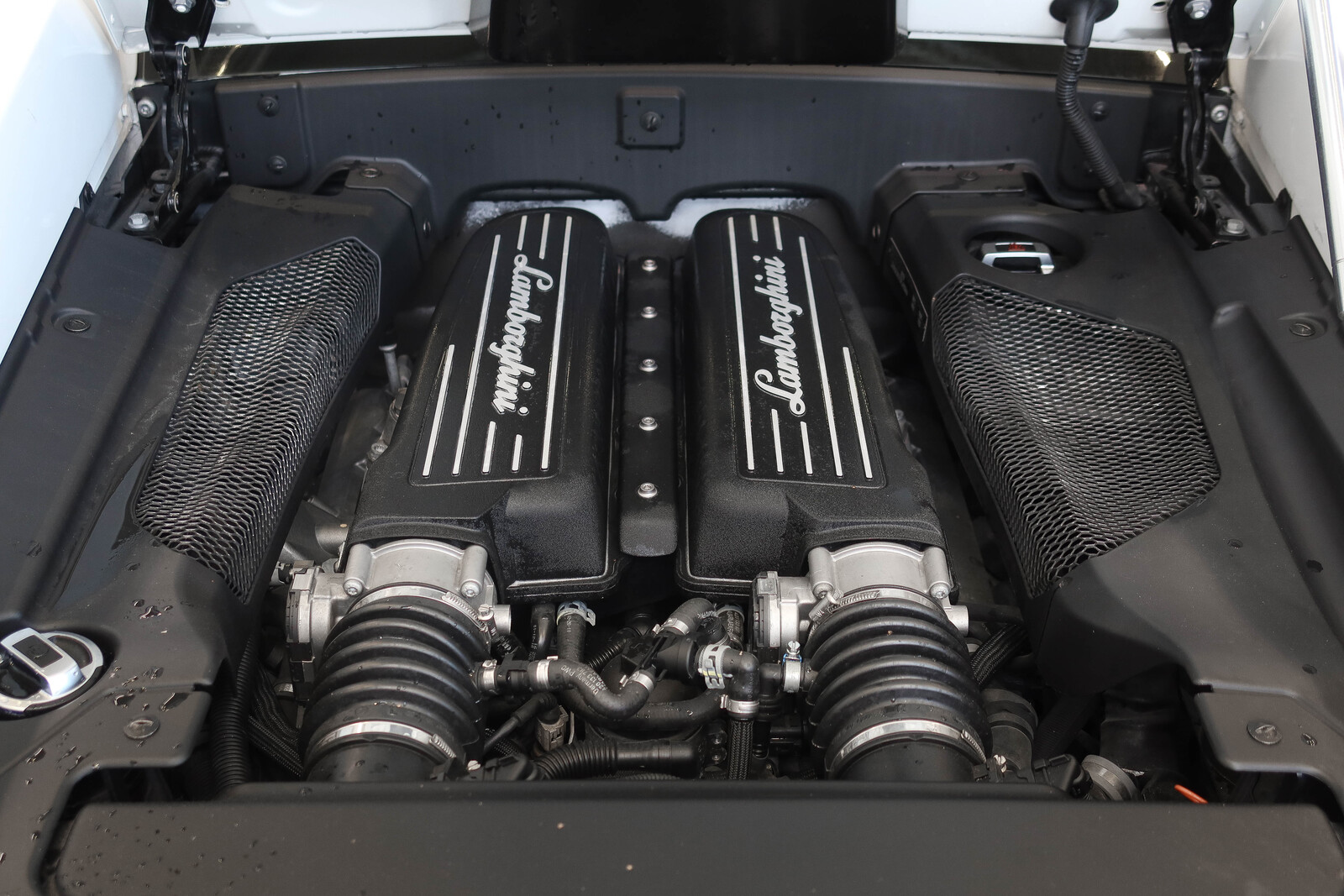 Lamborghini Gallardo 2012