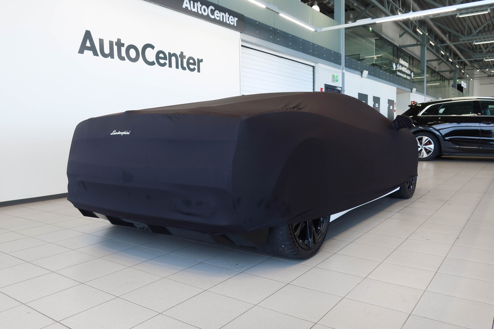 Lamborghini Gallardo 2012