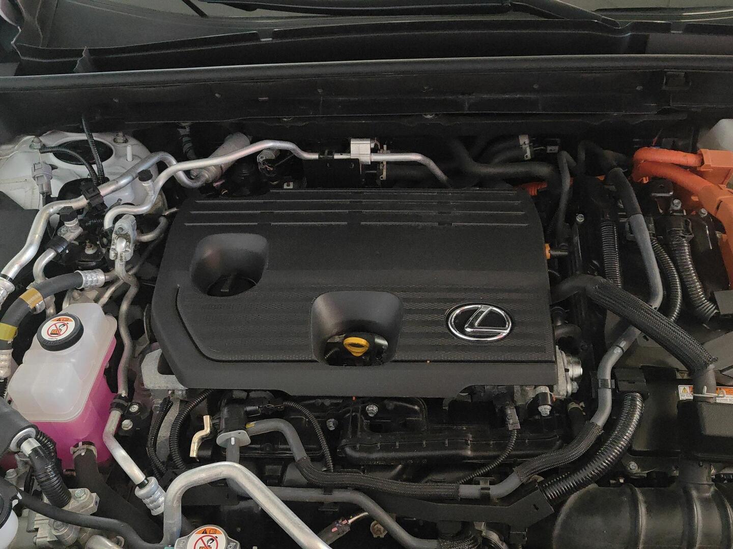 LEXUS NX 2022