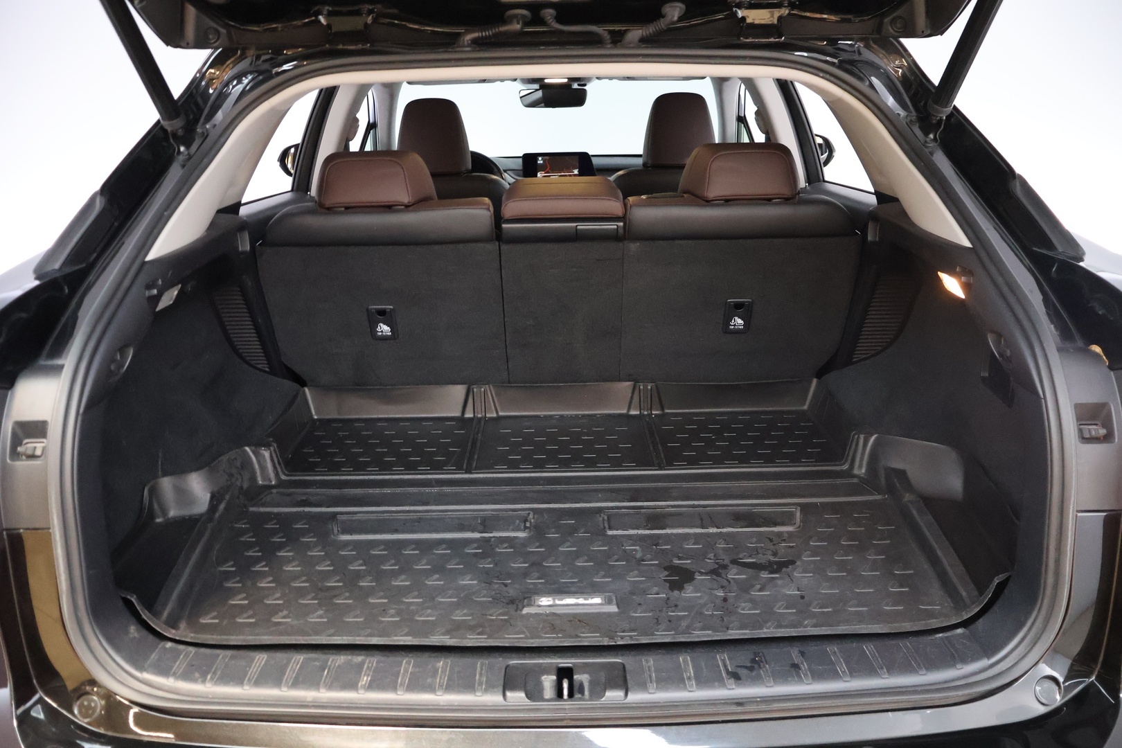 LEXUS RX 2018