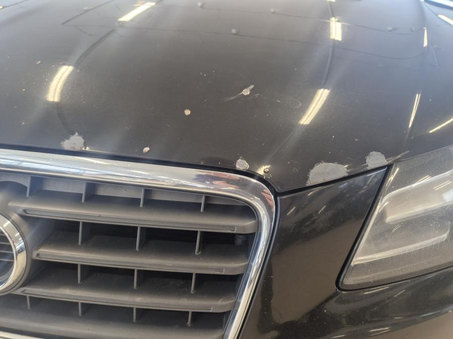 Avant 2,0 TDI DPF 136 hv Business / Vakkari / Lohkolämmitin / Aut. ilmastointi / Sadetunnistin