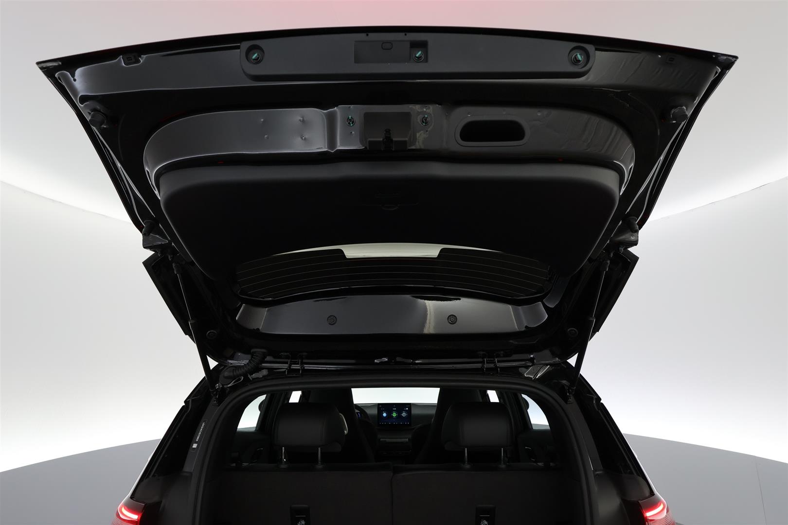 BYD Dolphin Surf 2025