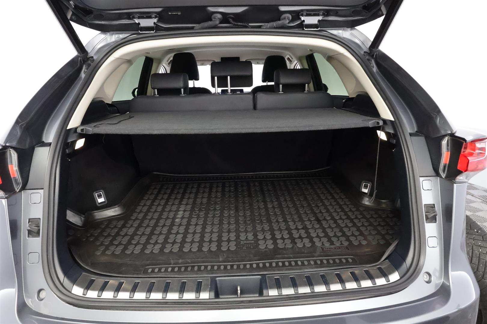 Lexus NX 2020
