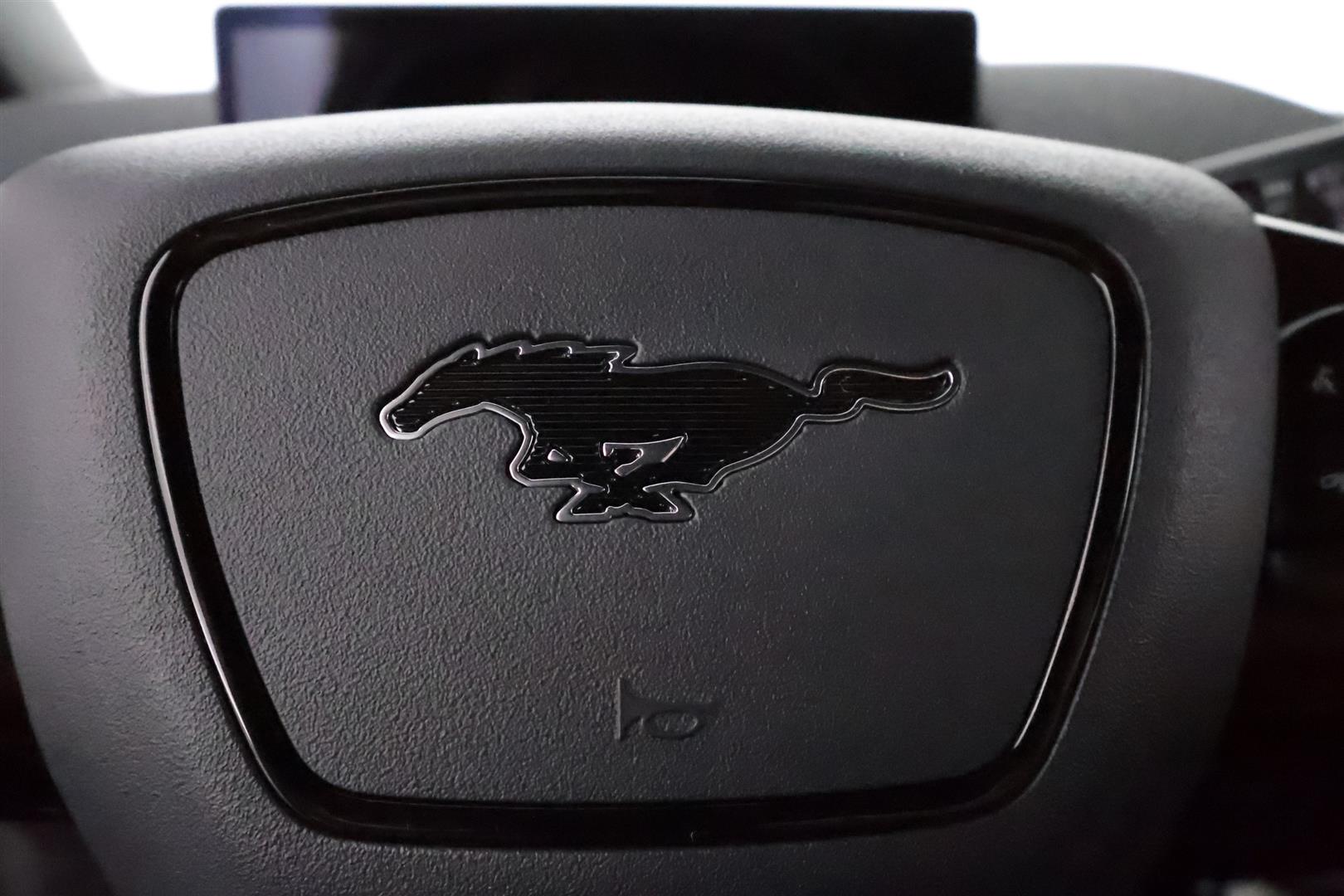 Ford Mustang Mach-E 2021