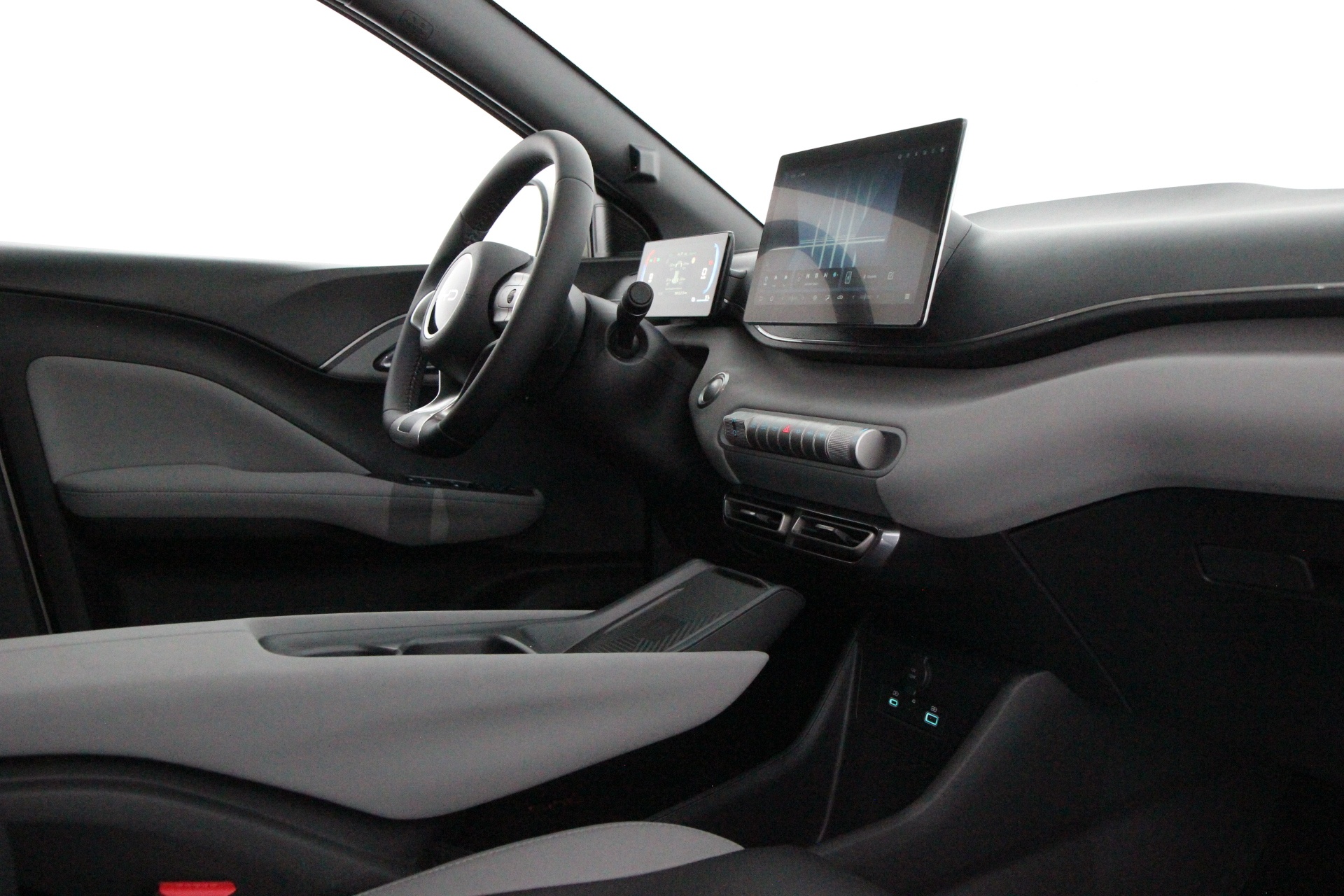 BYD Dolphin Surf 2026