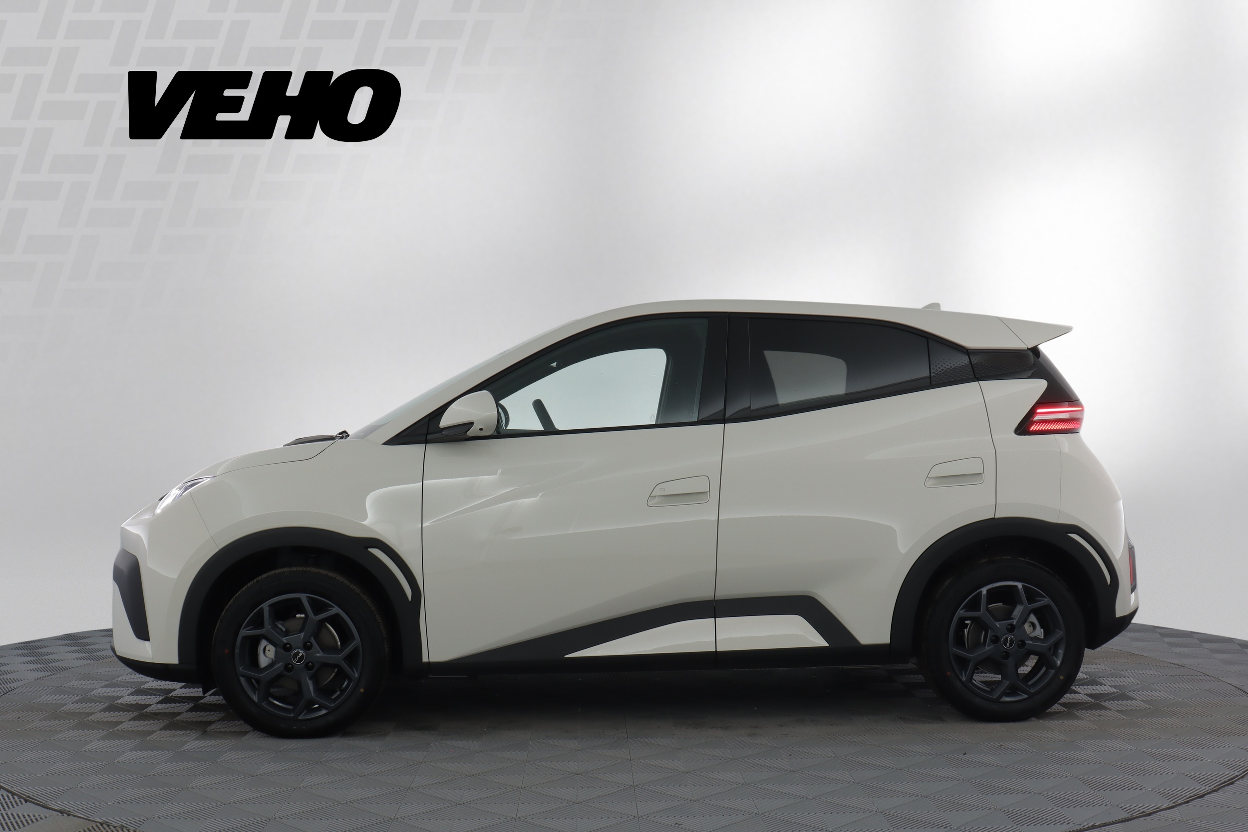 BYD Dolphin Surf 2026