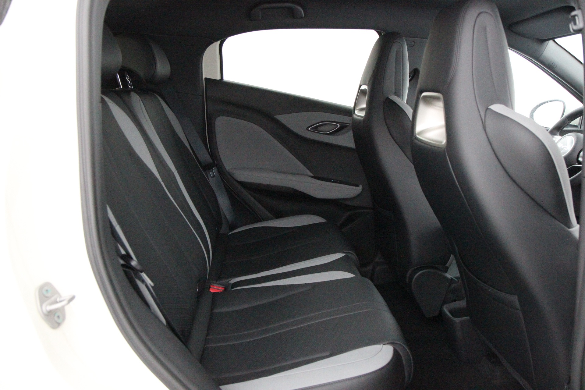 BYD Dolphin Surf 2026