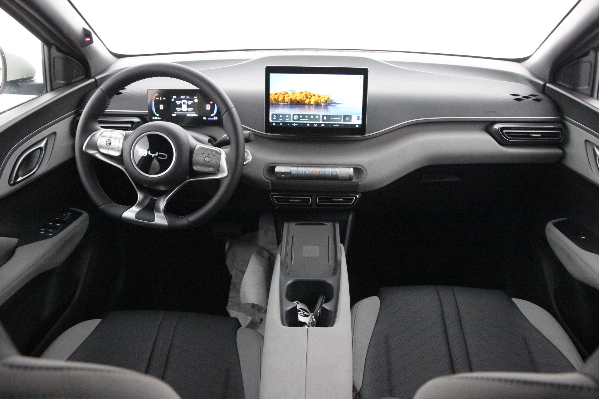 BYD Dolphin Surf 2026