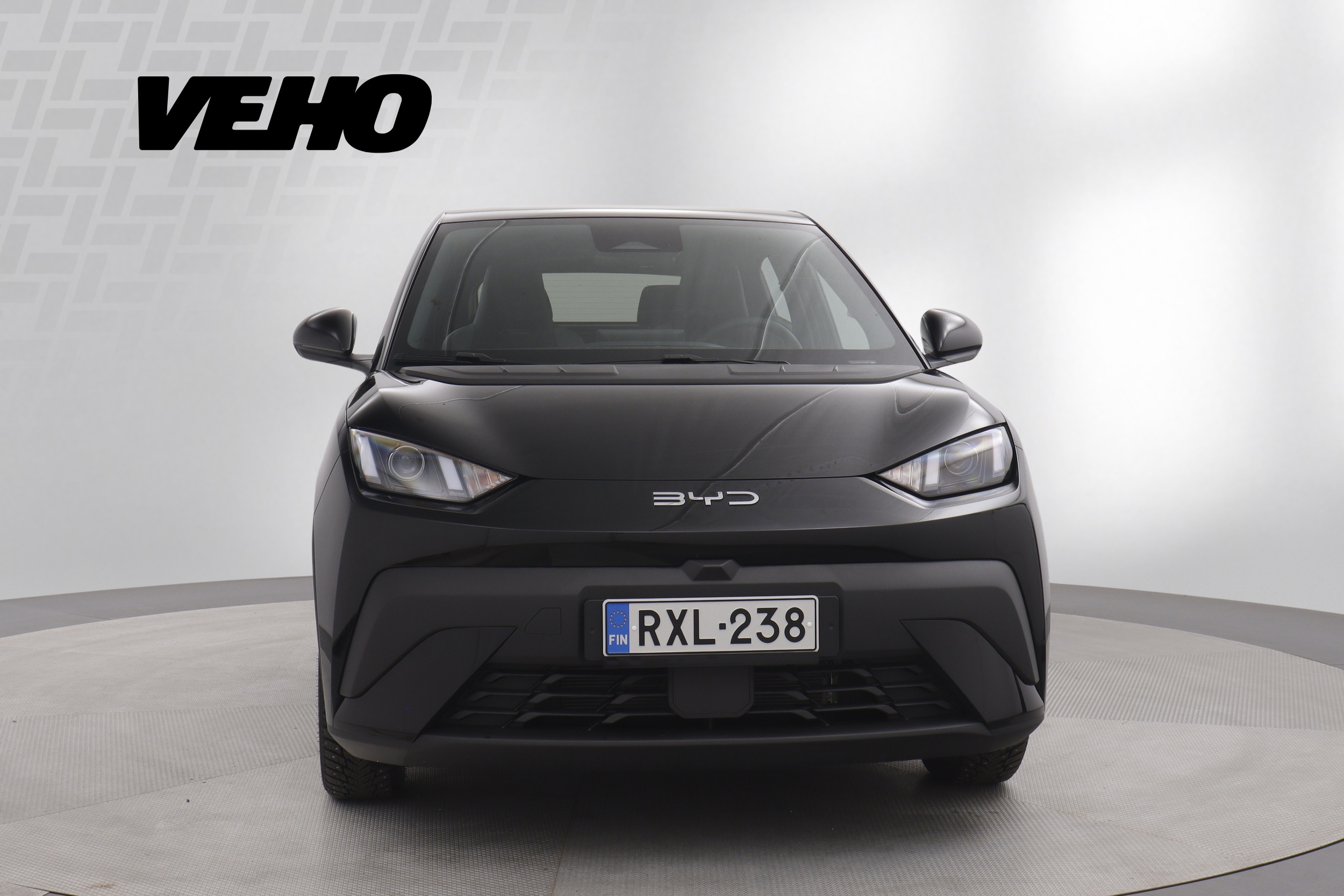 BYD Dolphin Surf 2025