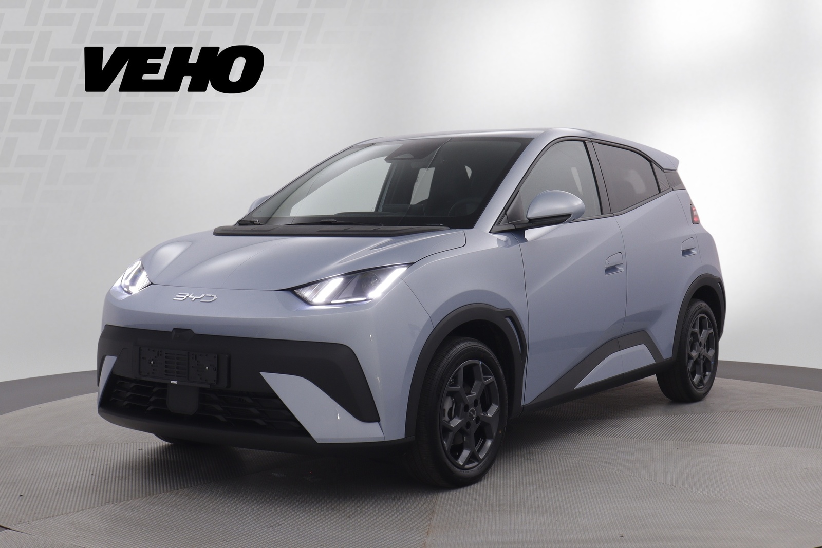 BYD Dolphin Surf 2025