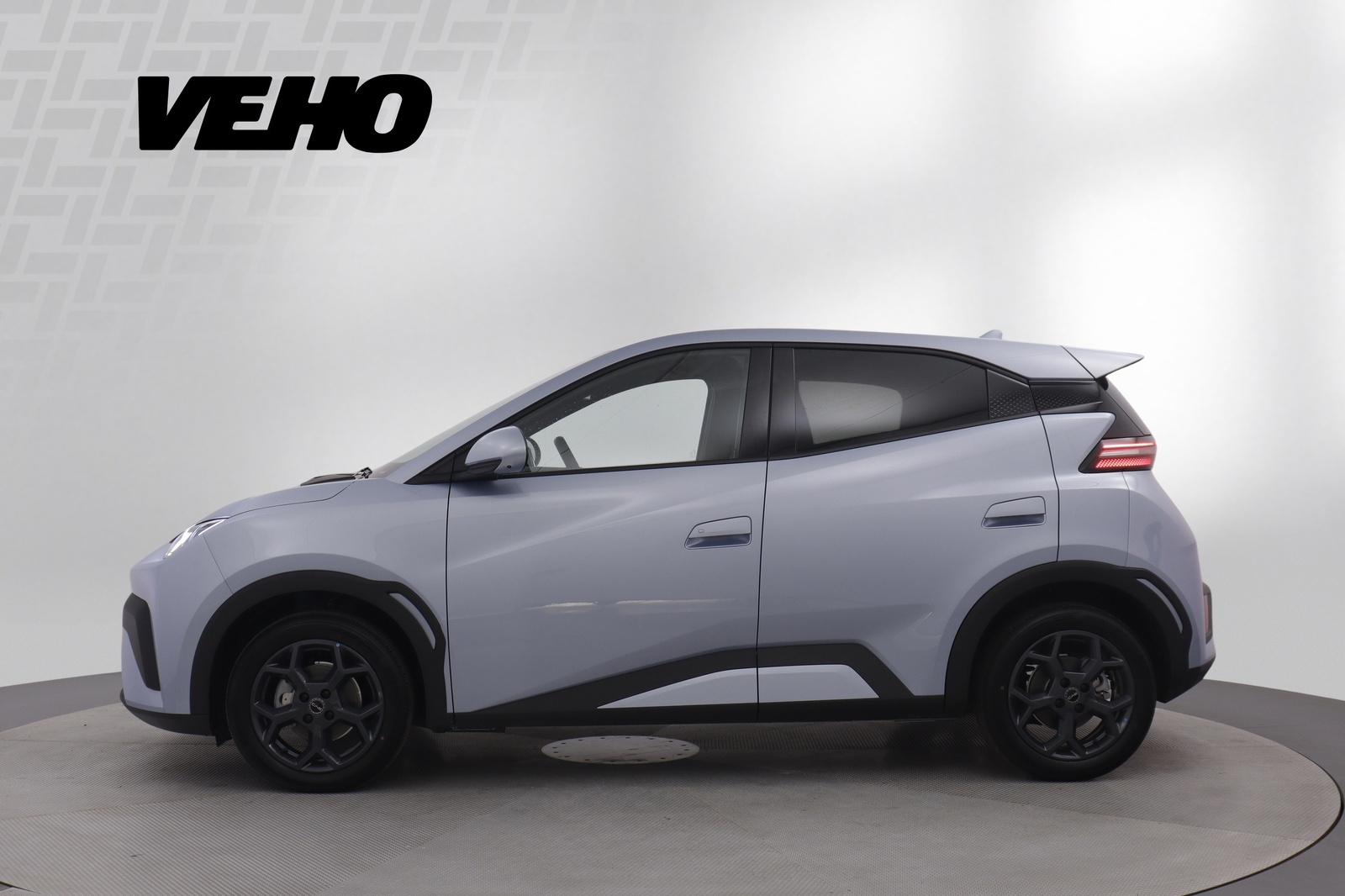 BYD Dolphin Surf 2025