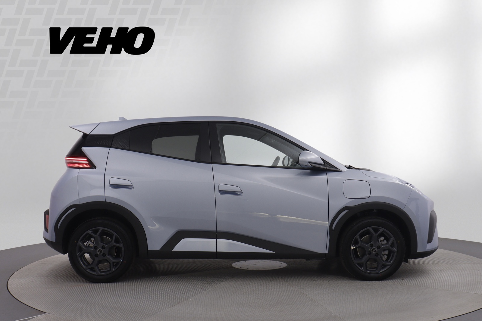 BYD Dolphin Surf 2025