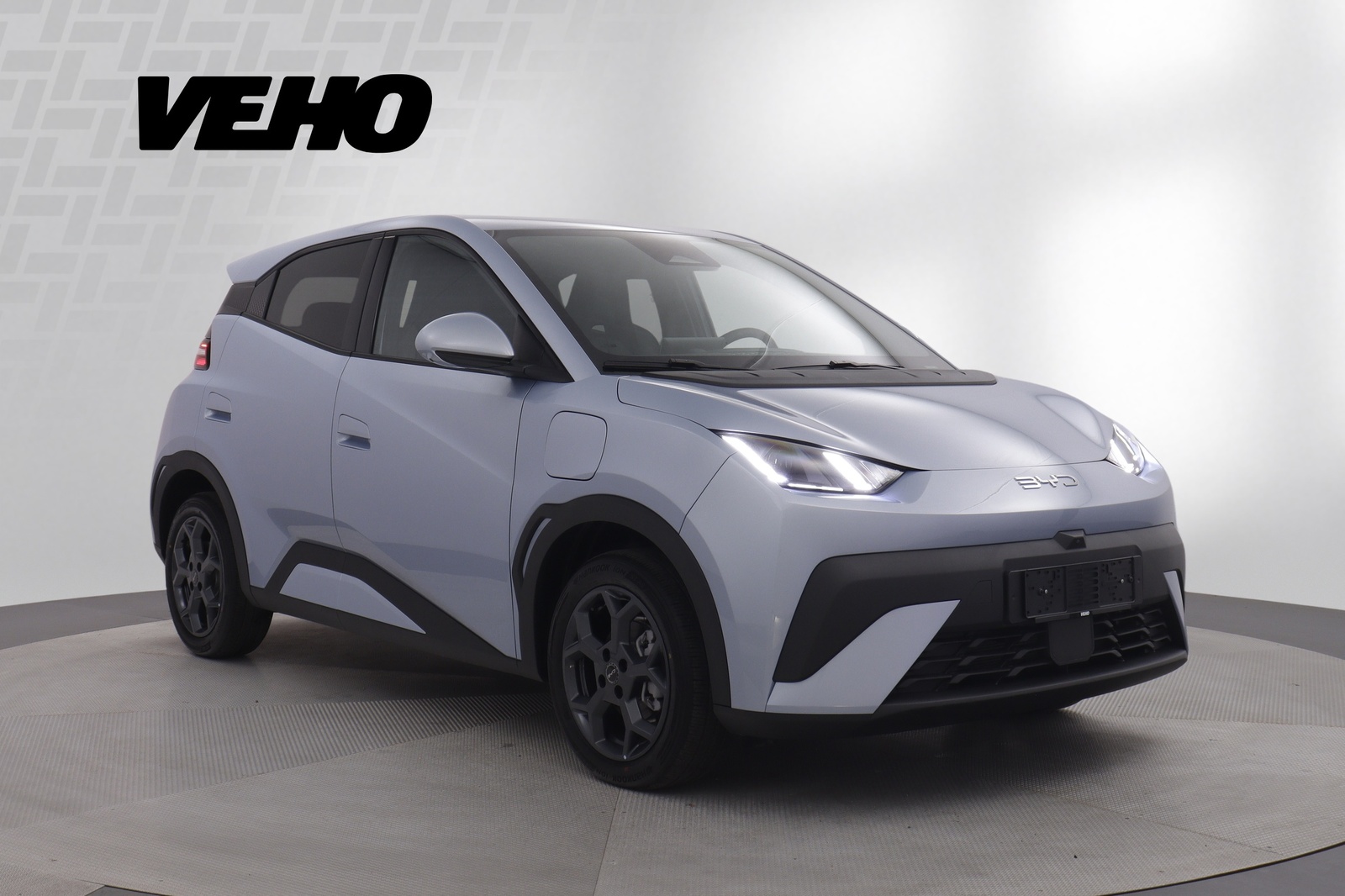 BYD Dolphin Surf 2025