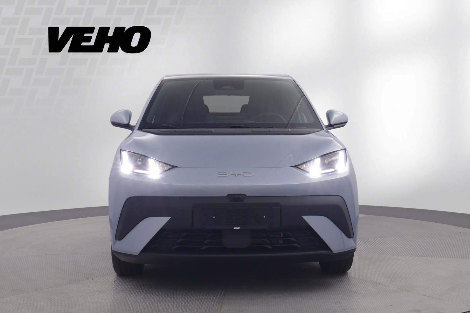 BYD Dolphin Surf 2025