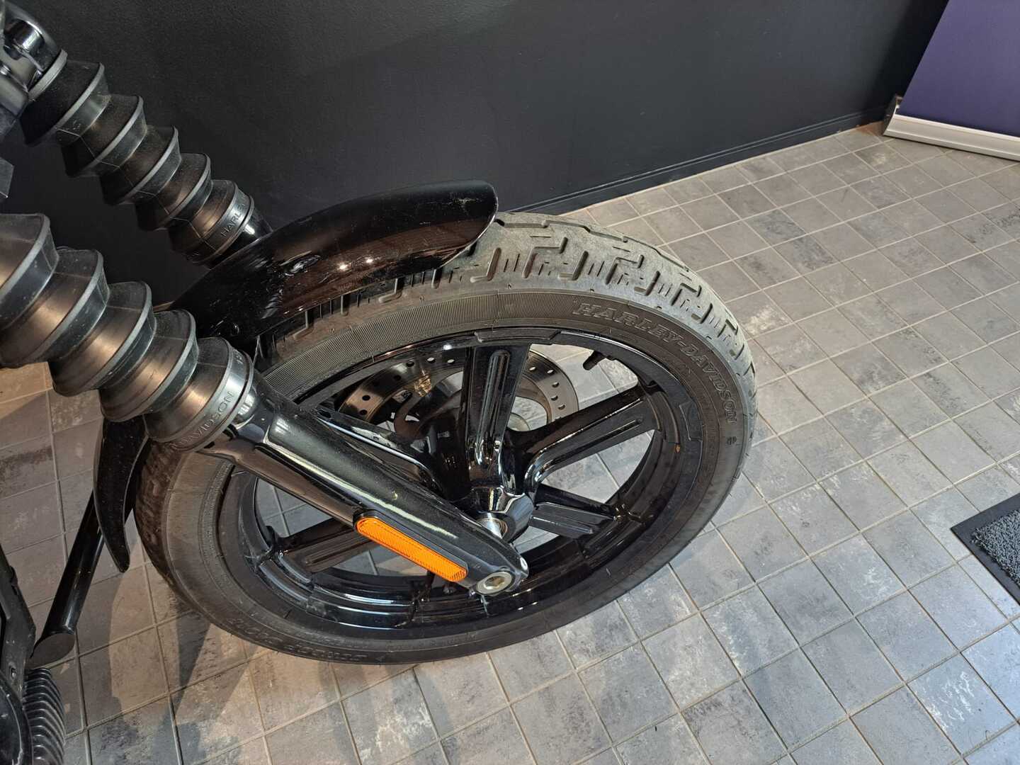 HARLEY-DAVIDSON Softail 2022