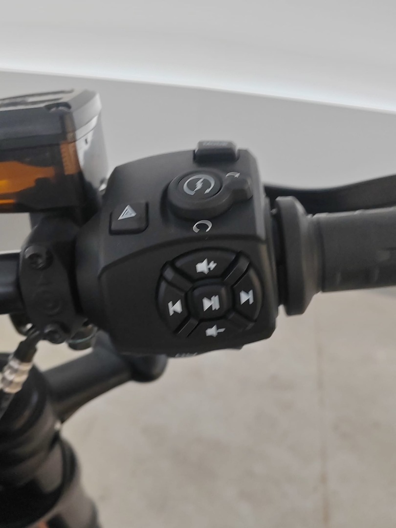 HARLEY-DAVIDSON SPORTSTER 2022