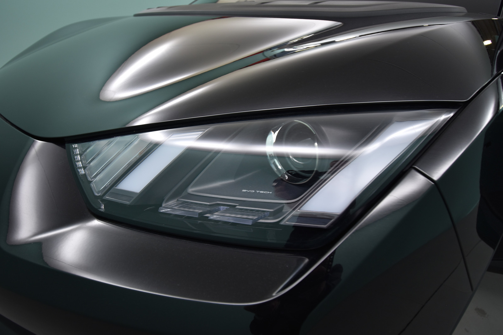 BYD Dolphin Surf 2026