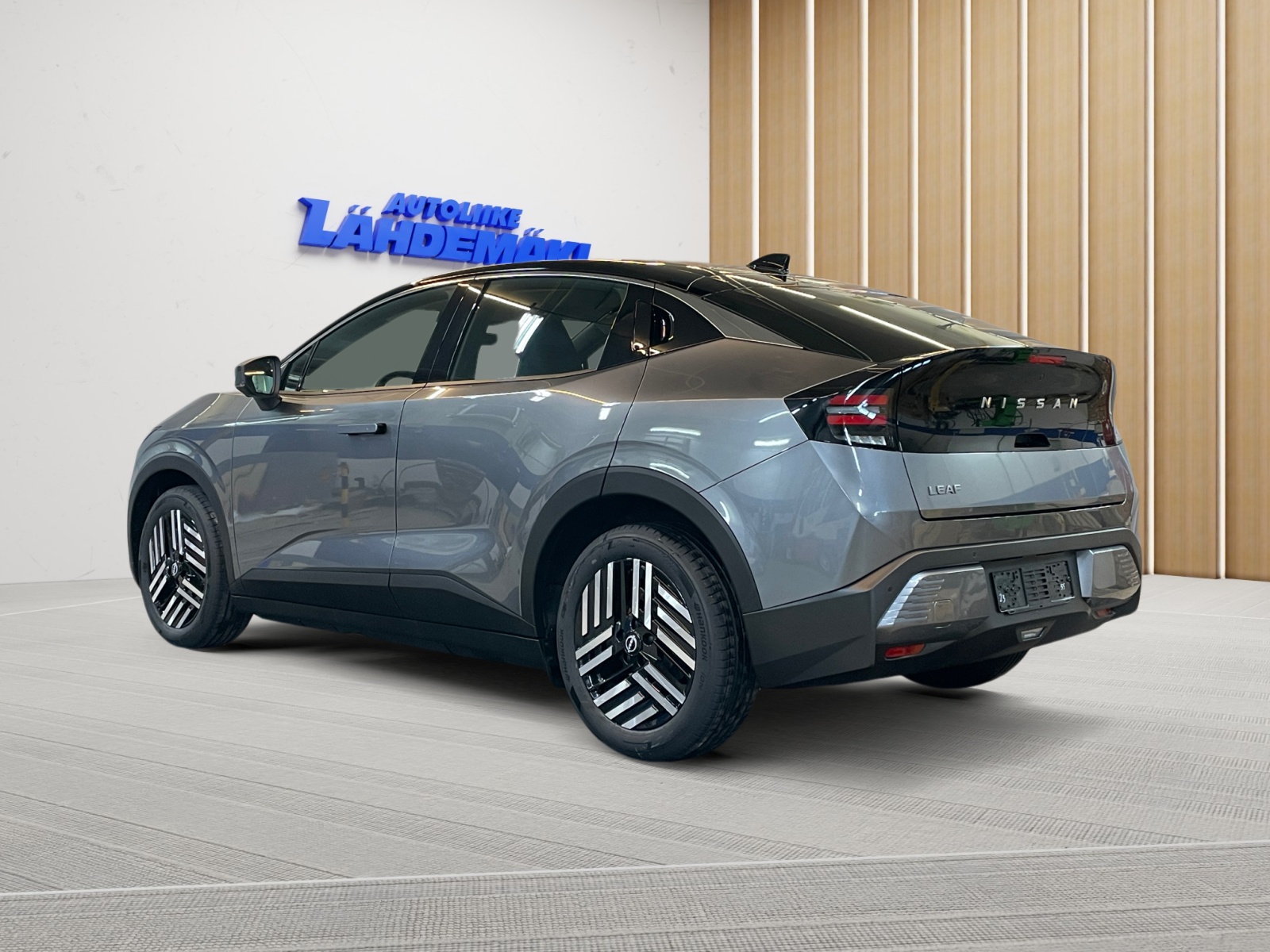 Nissan Leaf 3