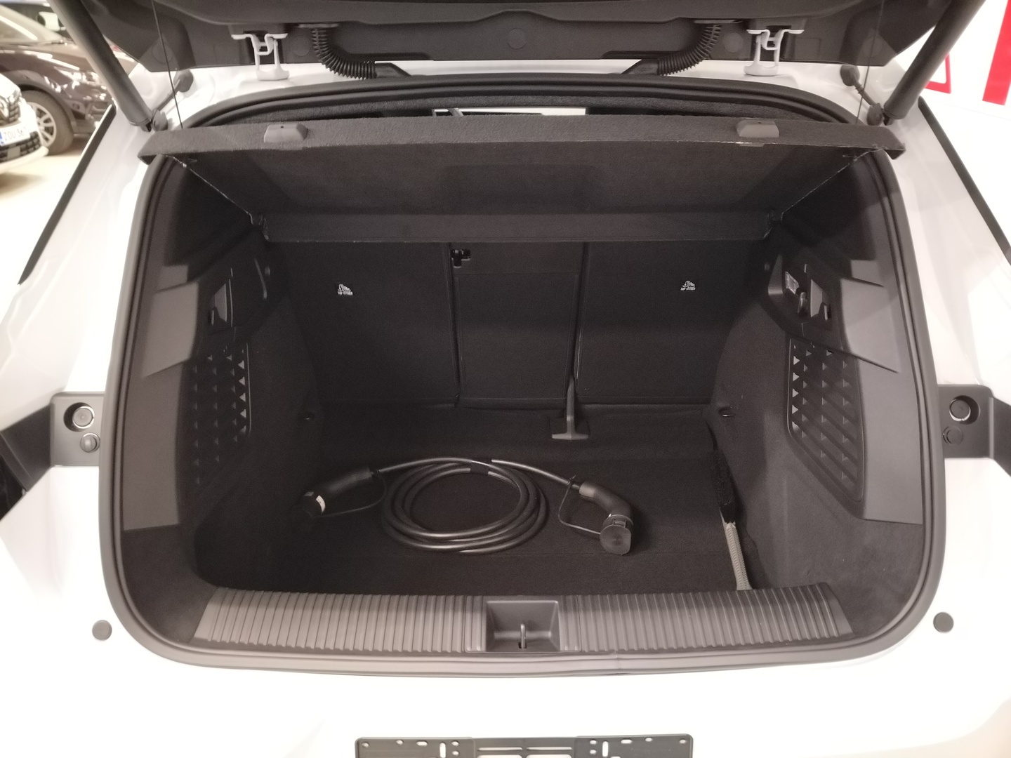 RENAULT SCENIC 8