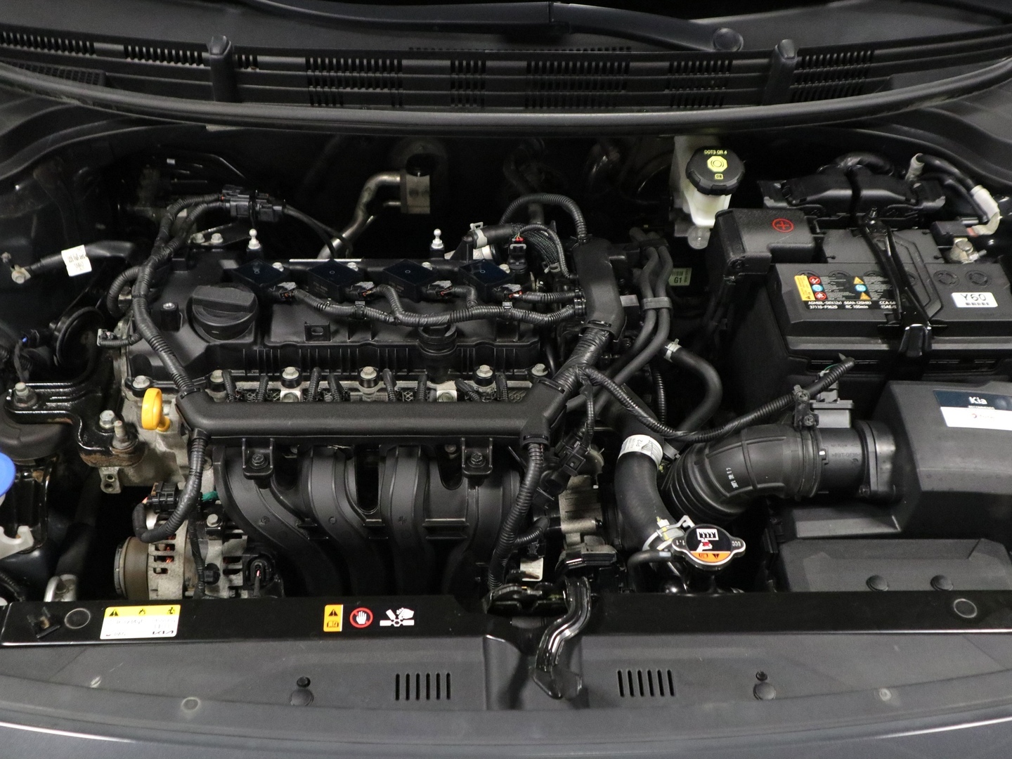 KIA Rio 2022