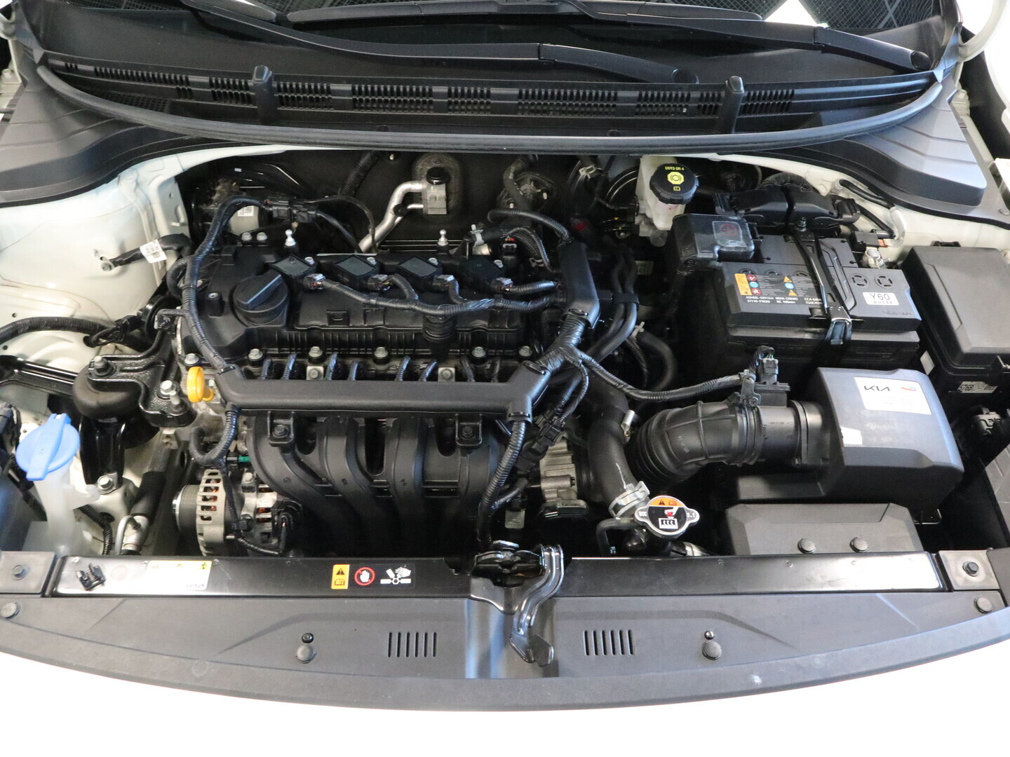KIA Rio 2023