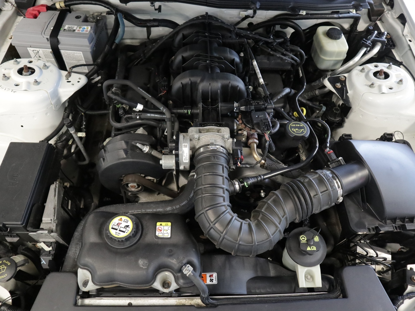 FORD Mustang 2005