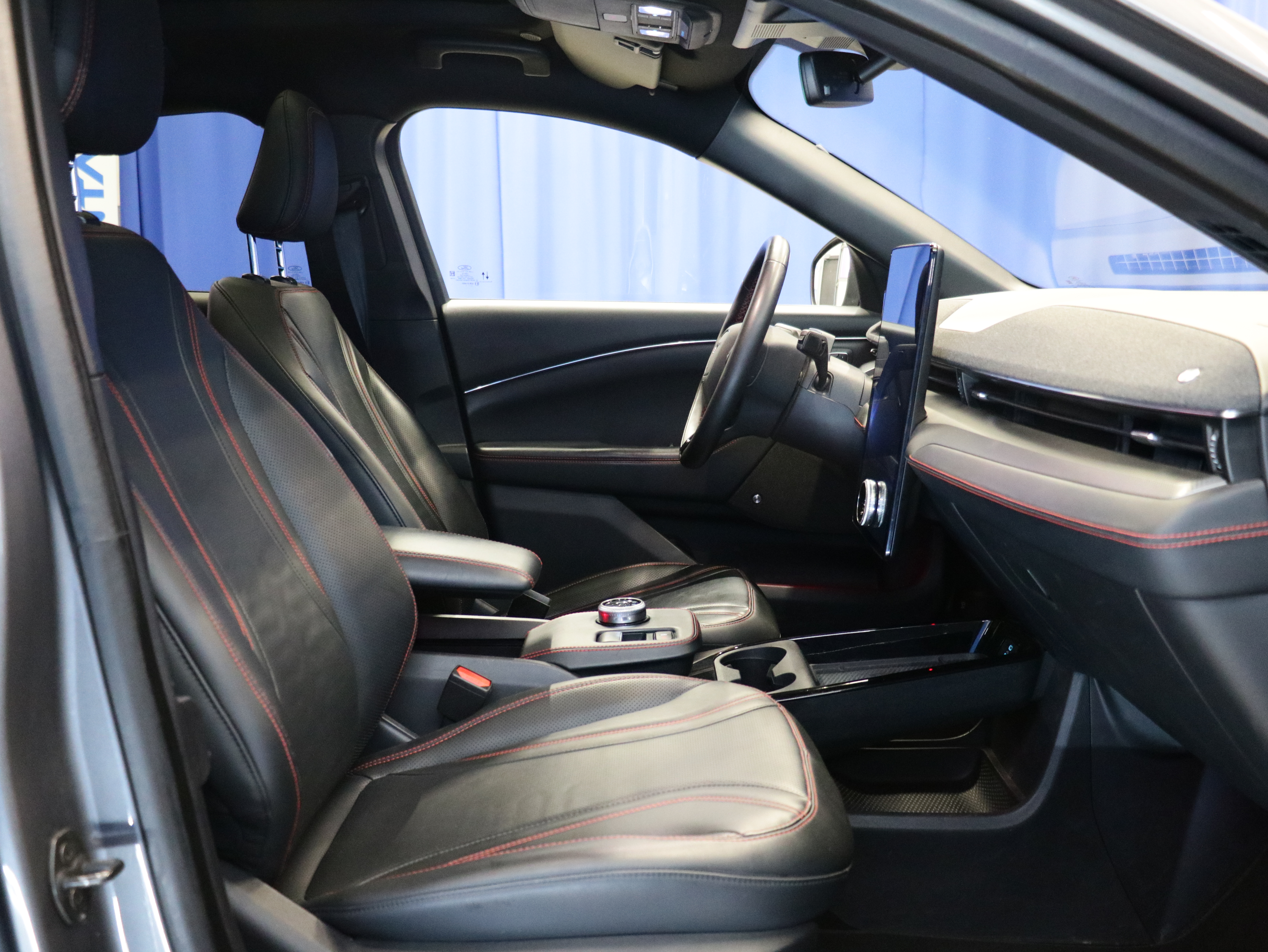 Ford Mustang Mach-E 2021