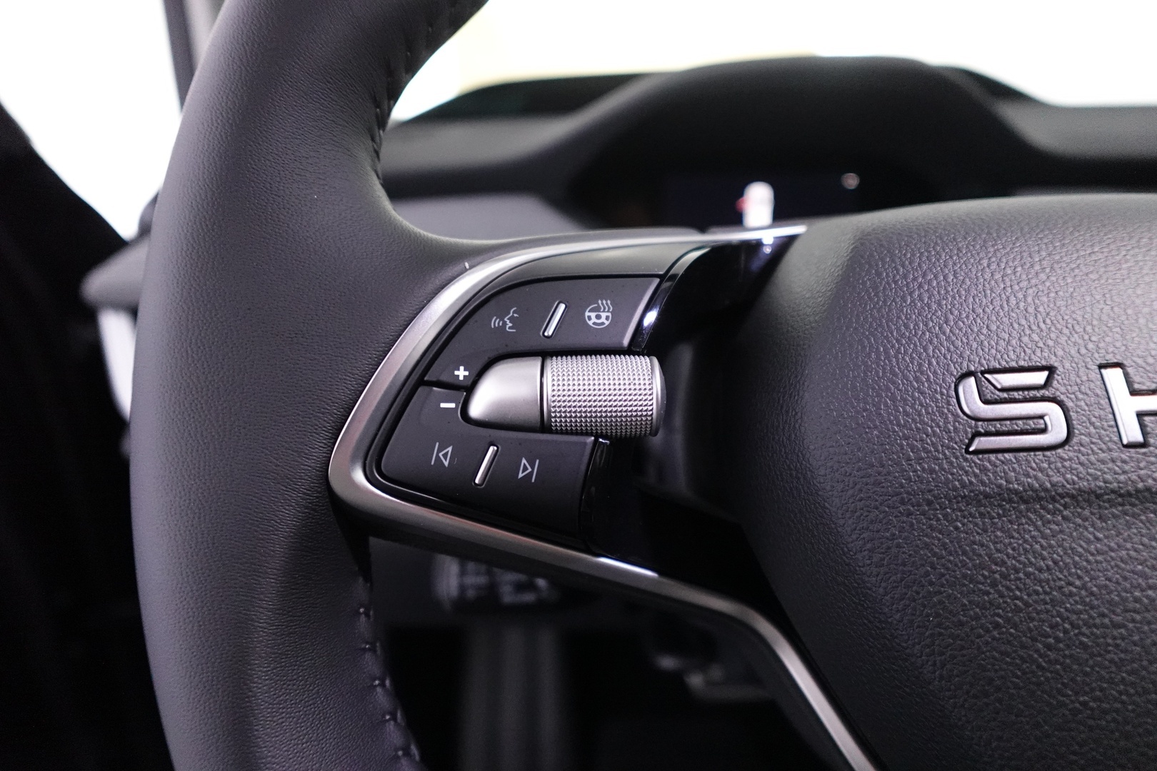 SKODA Enyaq 19