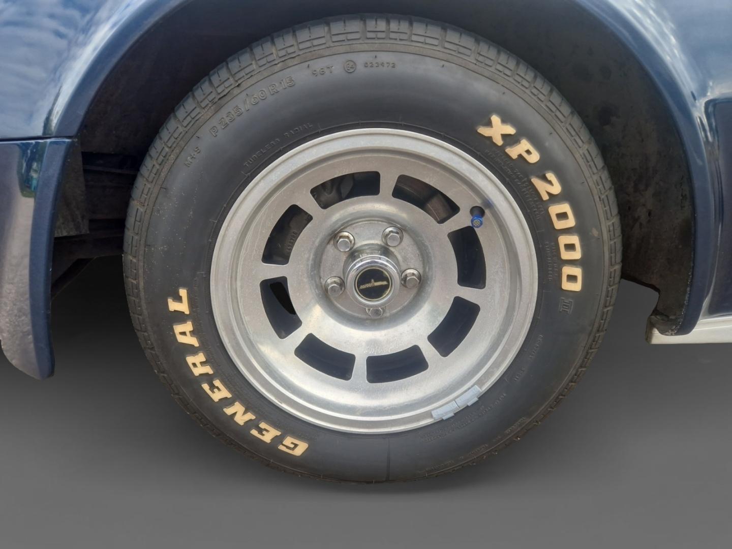 CHEVROLET Corvette 1981