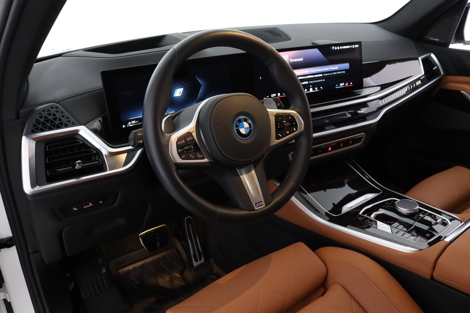 BMW X5 13