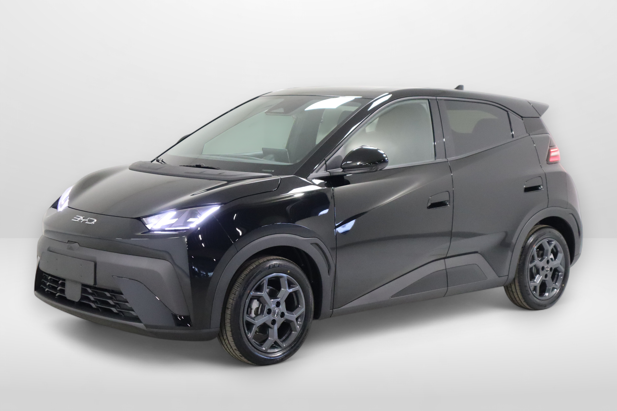 BYD Dolphin Surf 2