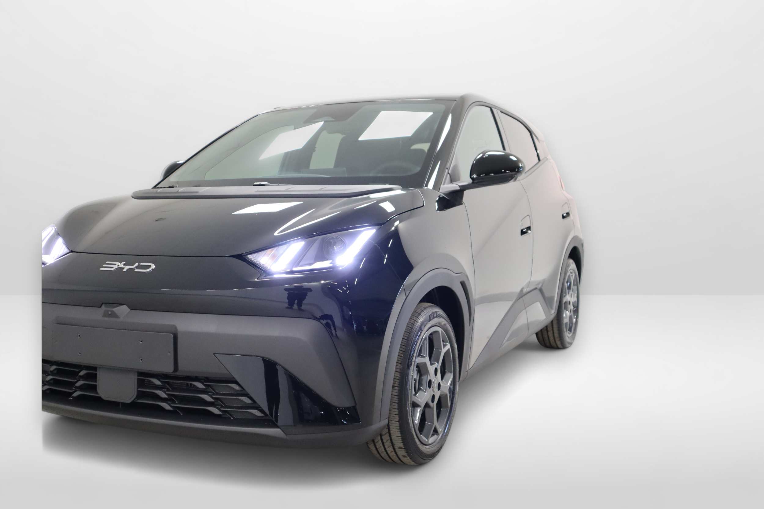 BYD Dolphin Surf 3