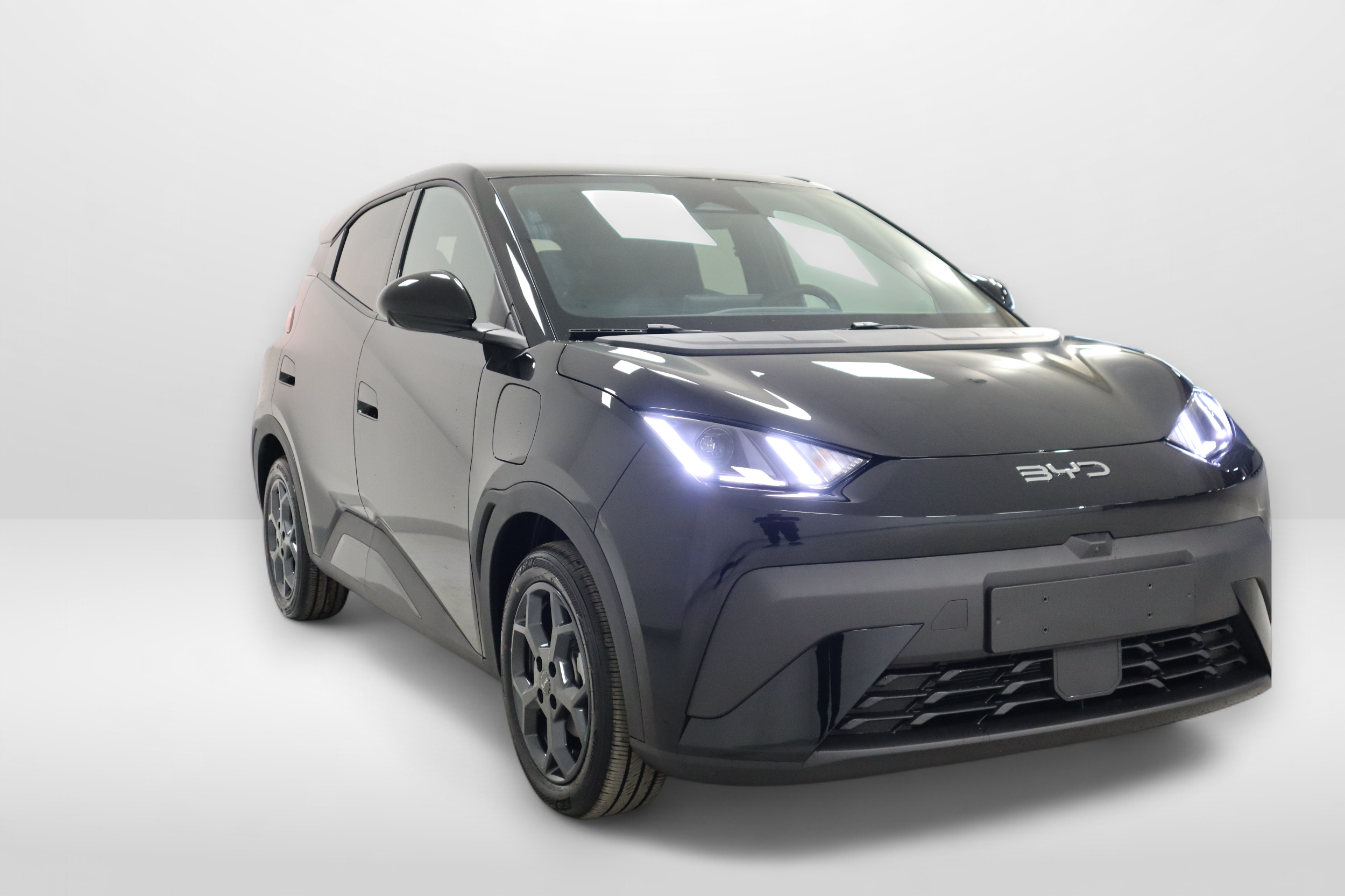 BYD Dolphin Surf 4