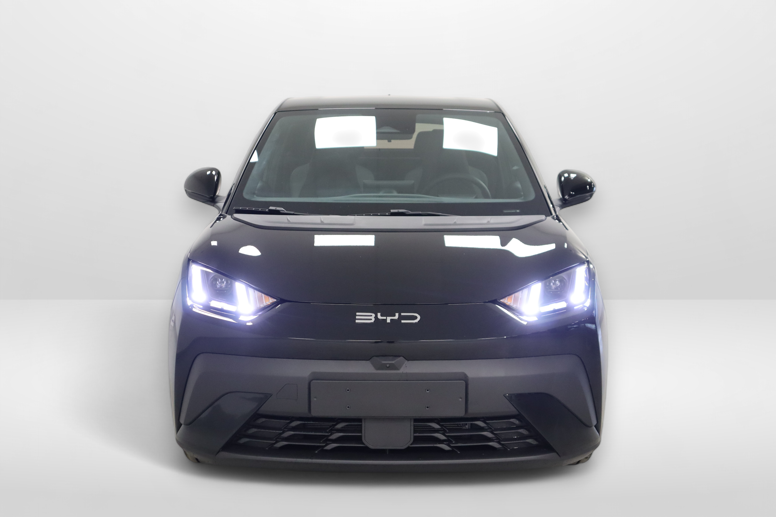 BYD Dolphin Surf 5