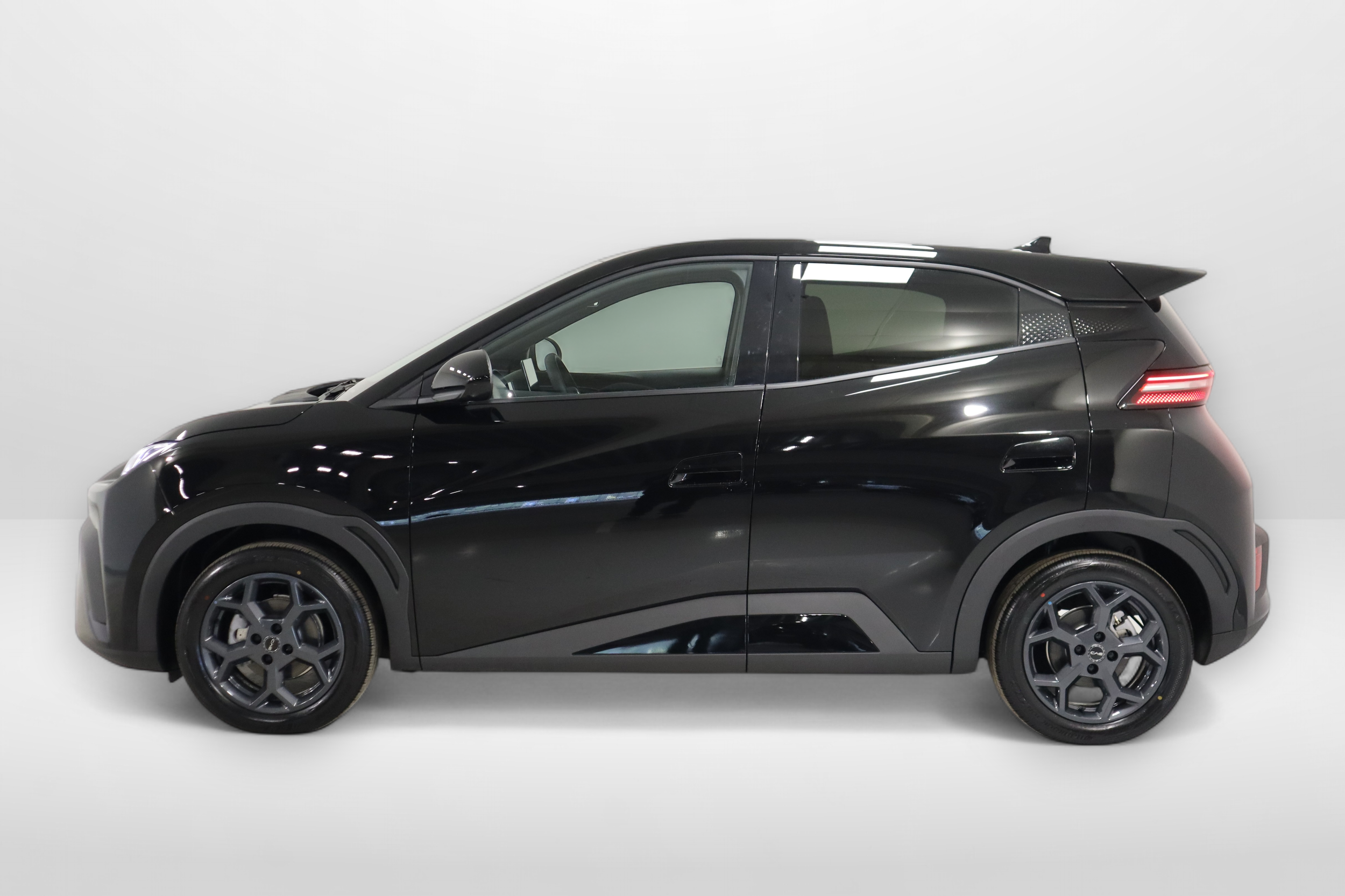 BYD Dolphin Surf 6