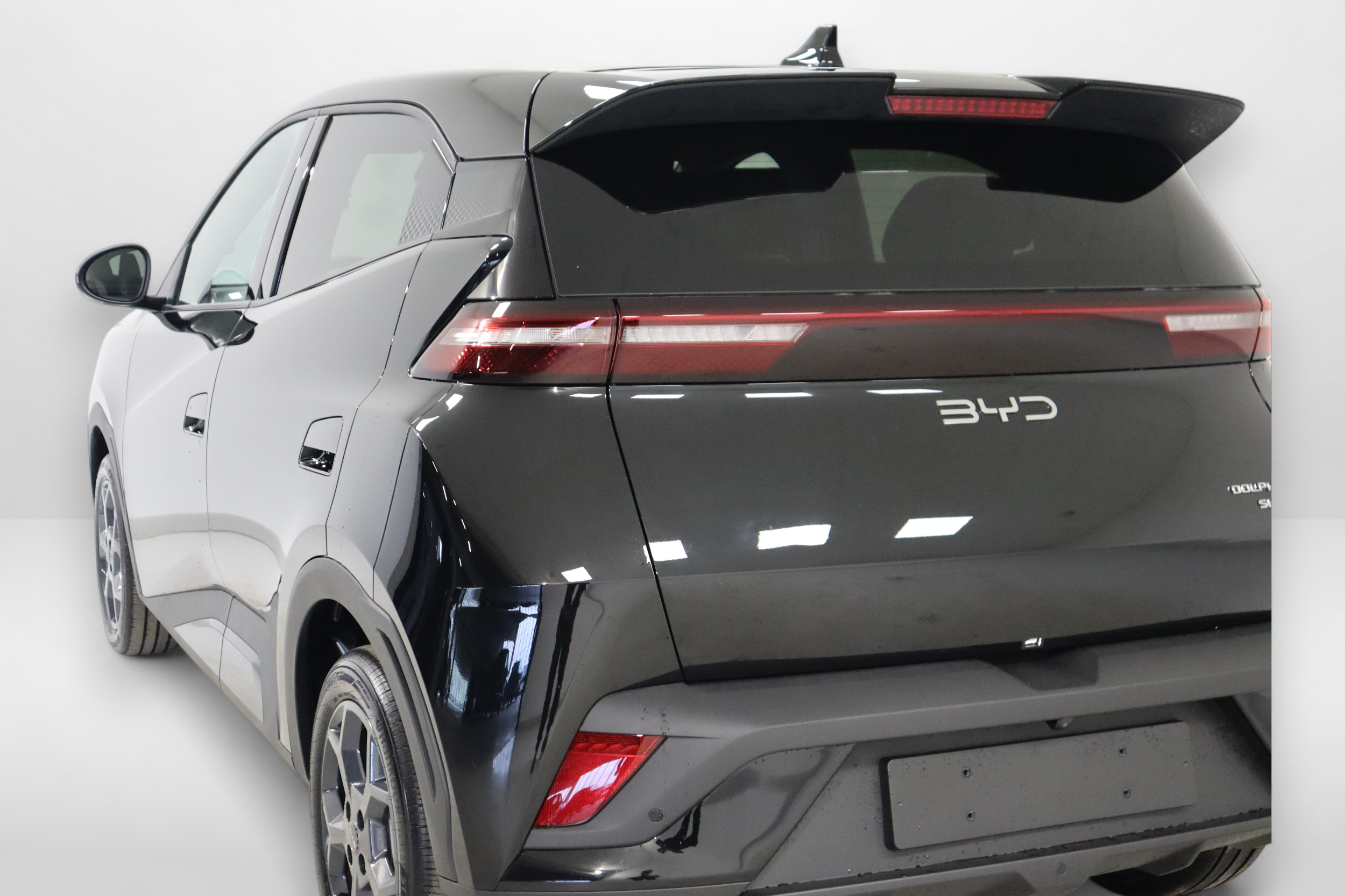 BYD Dolphin Surf 8