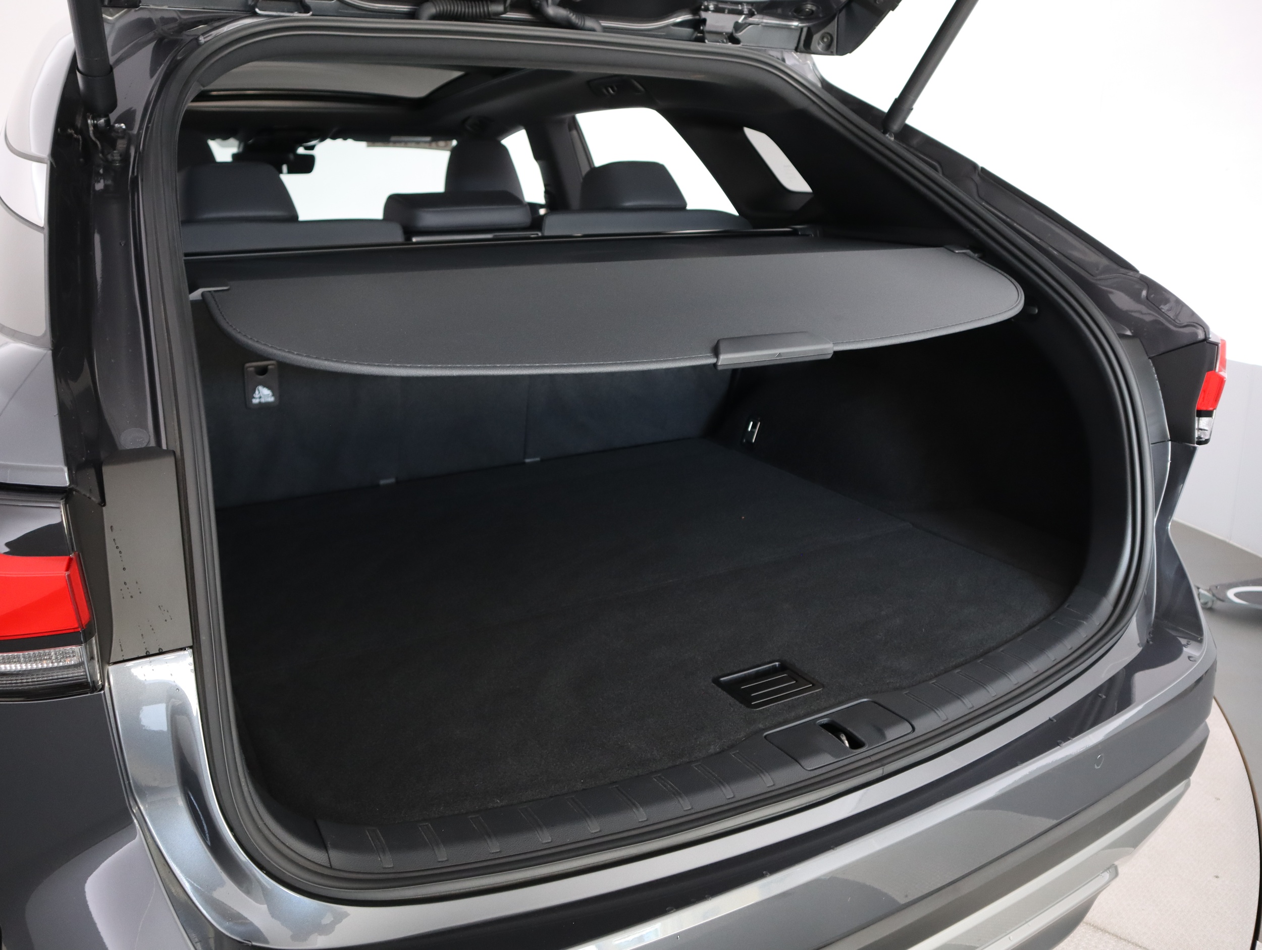 LEXUS RX 2024
