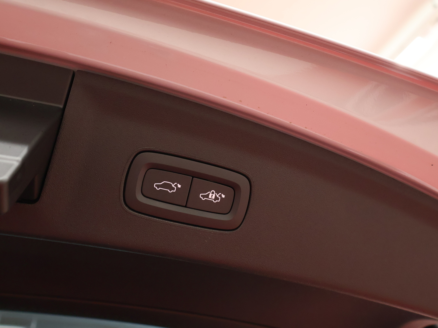POLESTAR 2 2024