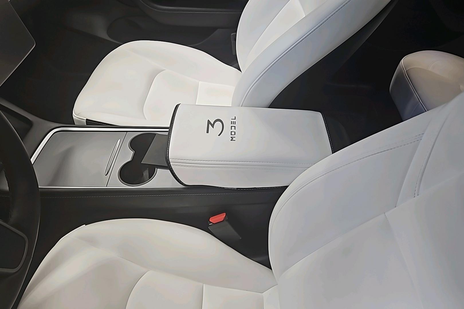 Tesla Model 3 15