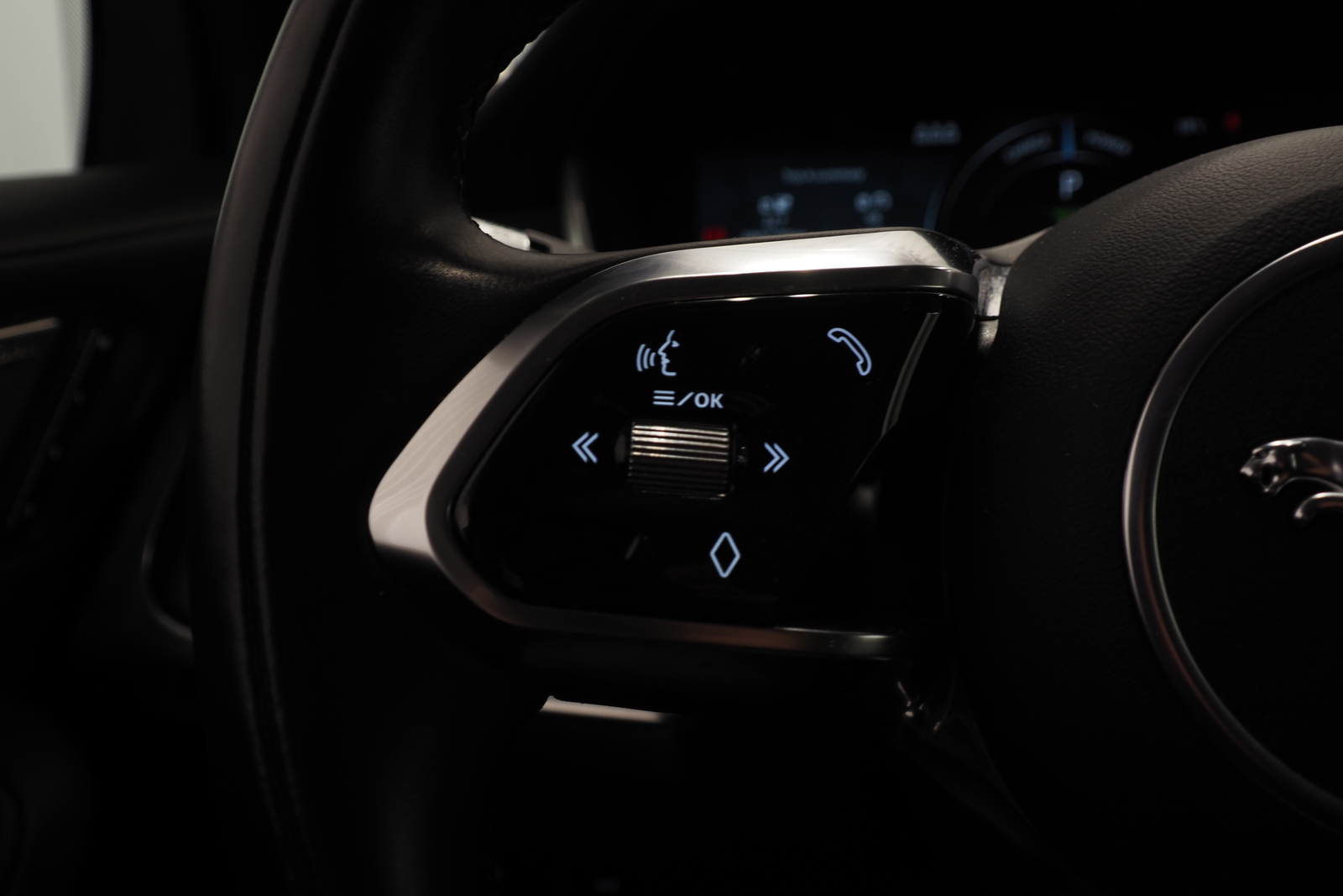 Jaguar I-PACE 13
