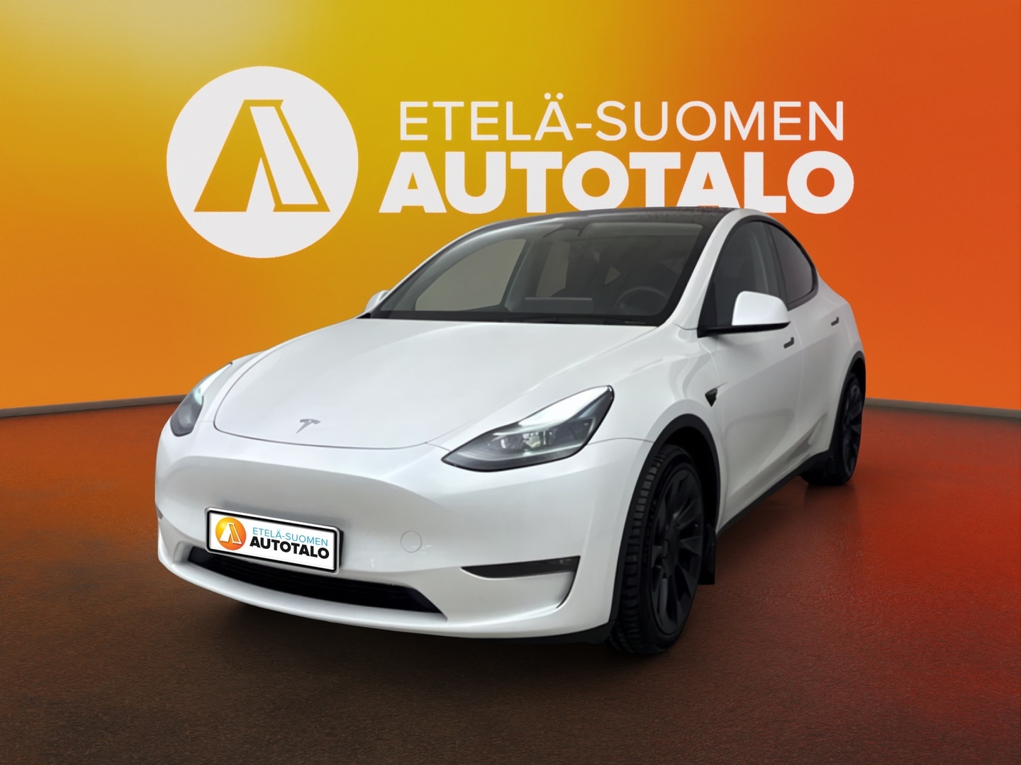 TESLA Model Y 1