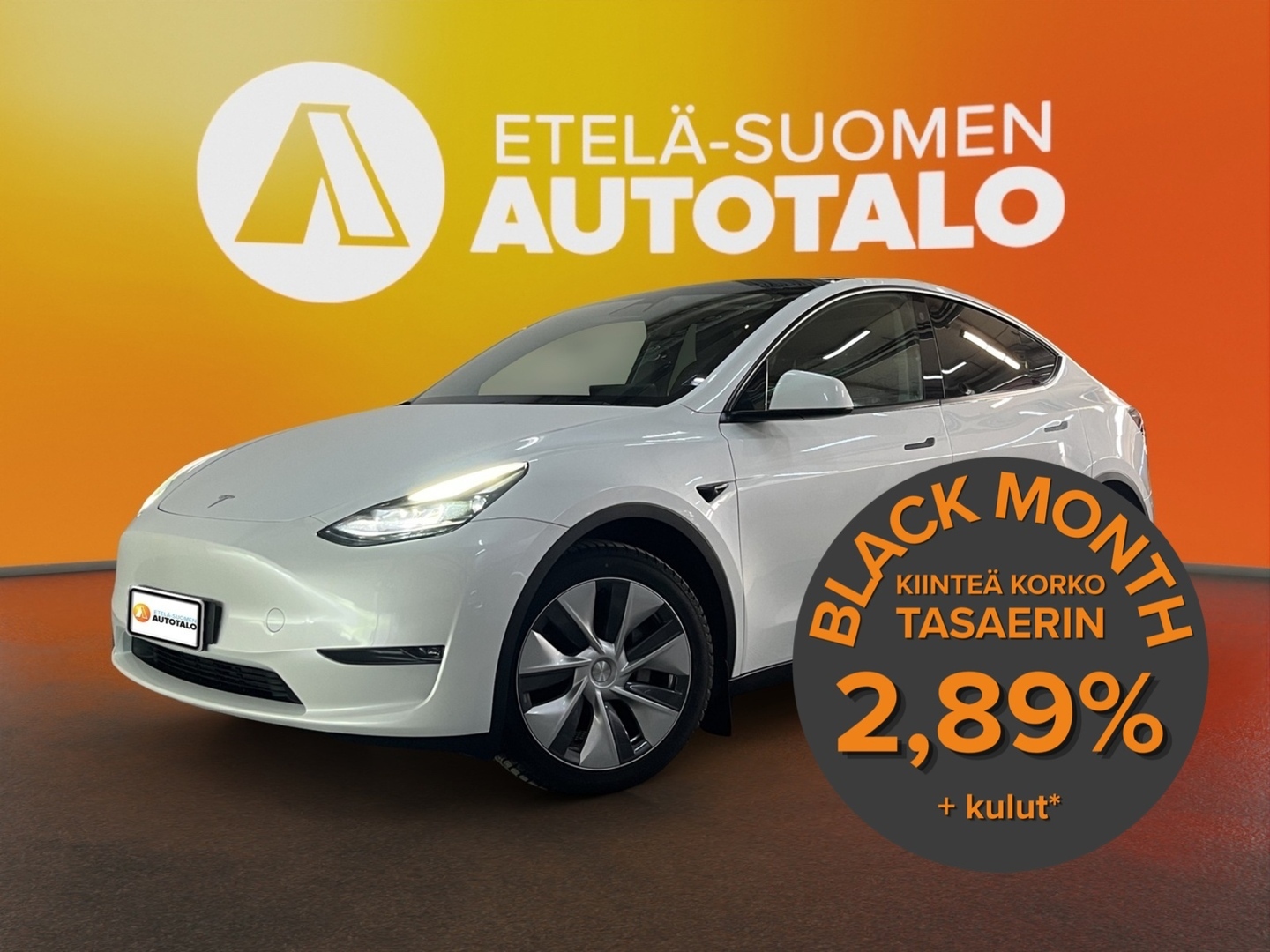 TESLA Model Y 2023