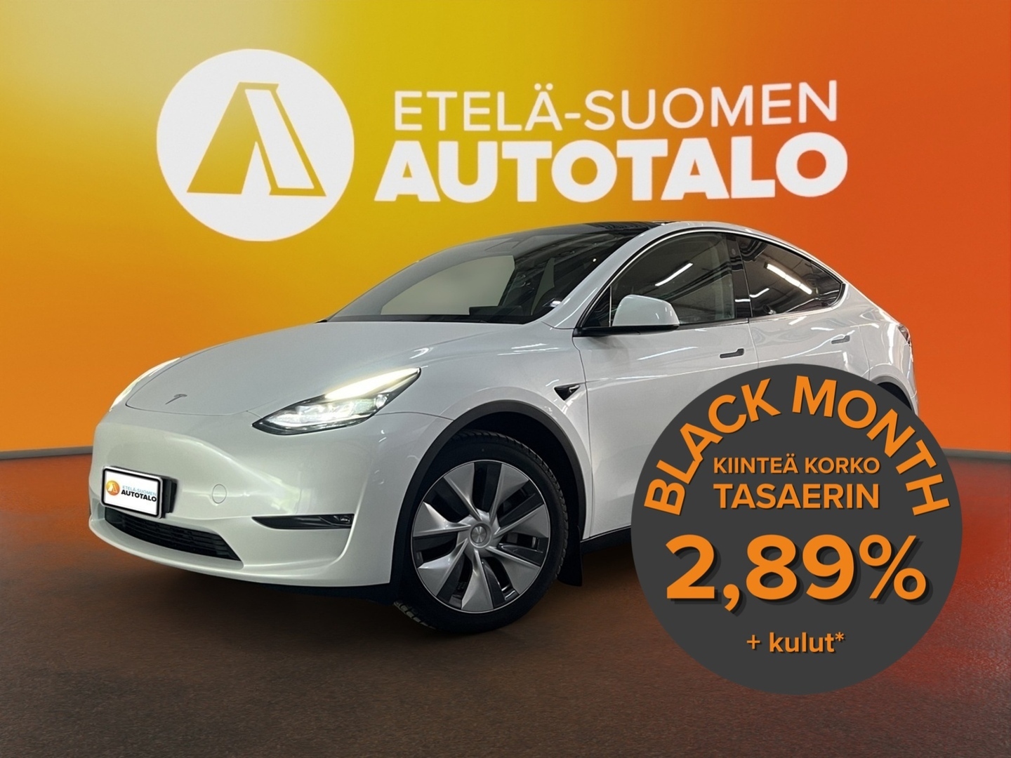 TESLA Model Y 2023