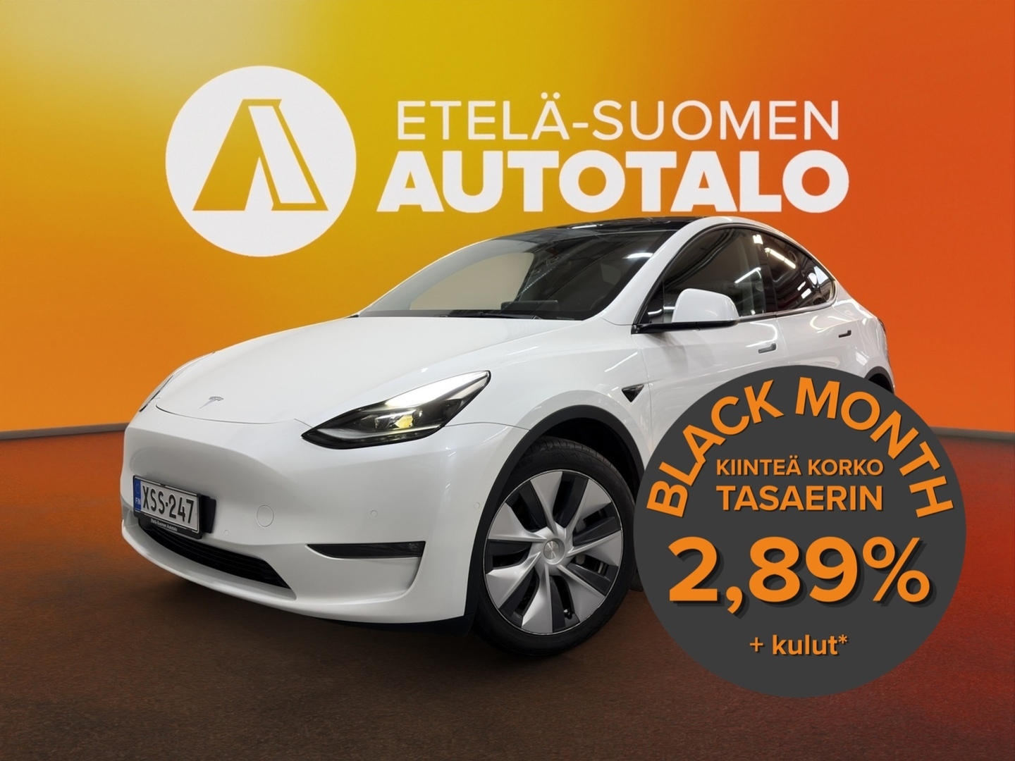 TESLA Model Y 2022