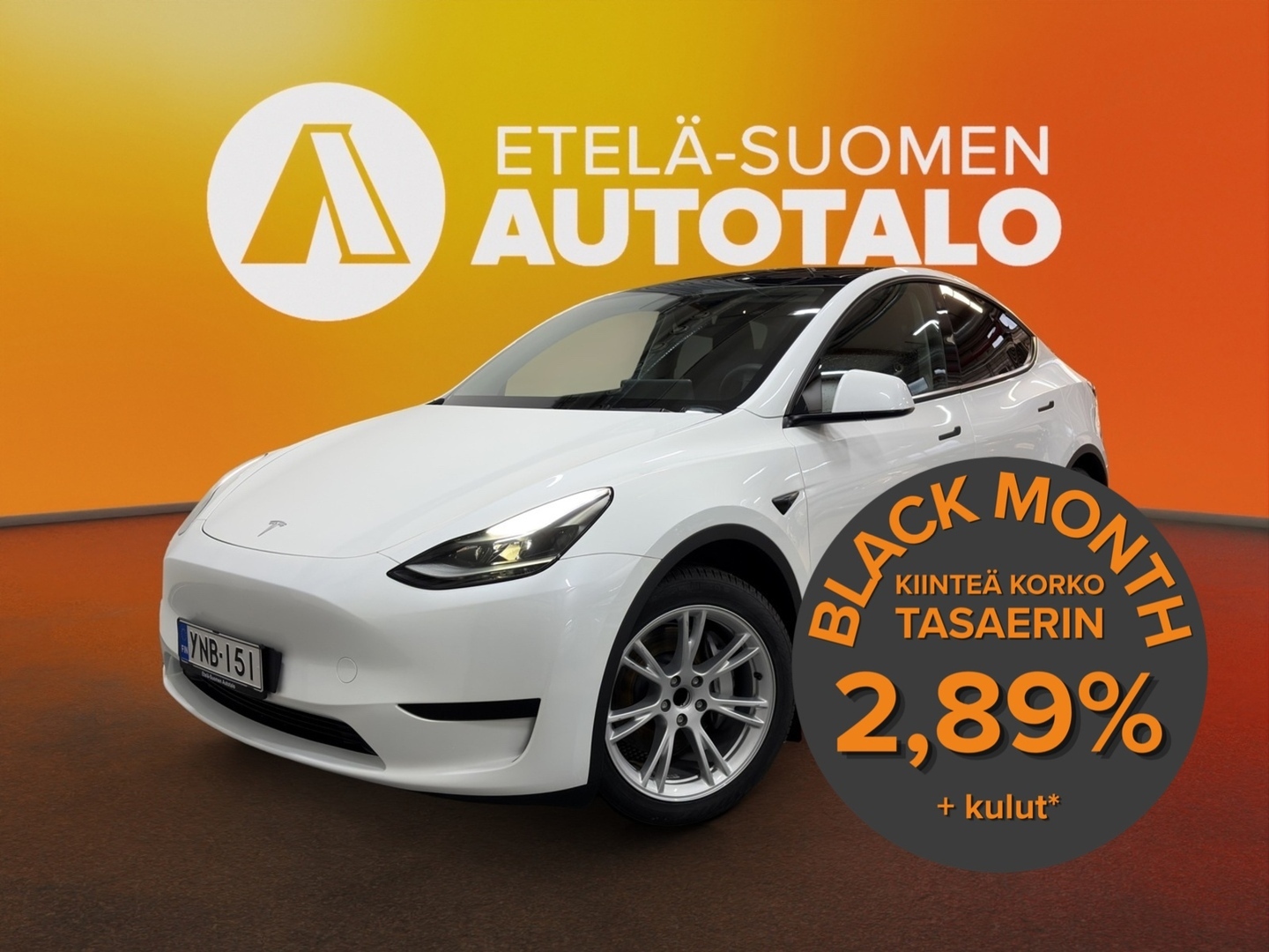 TESLA Model Y 2023