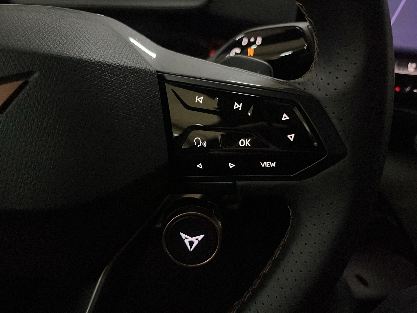 CUPRA Tavascan 2025