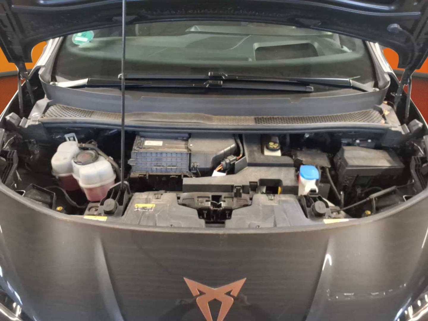 CUPRA Born 2023