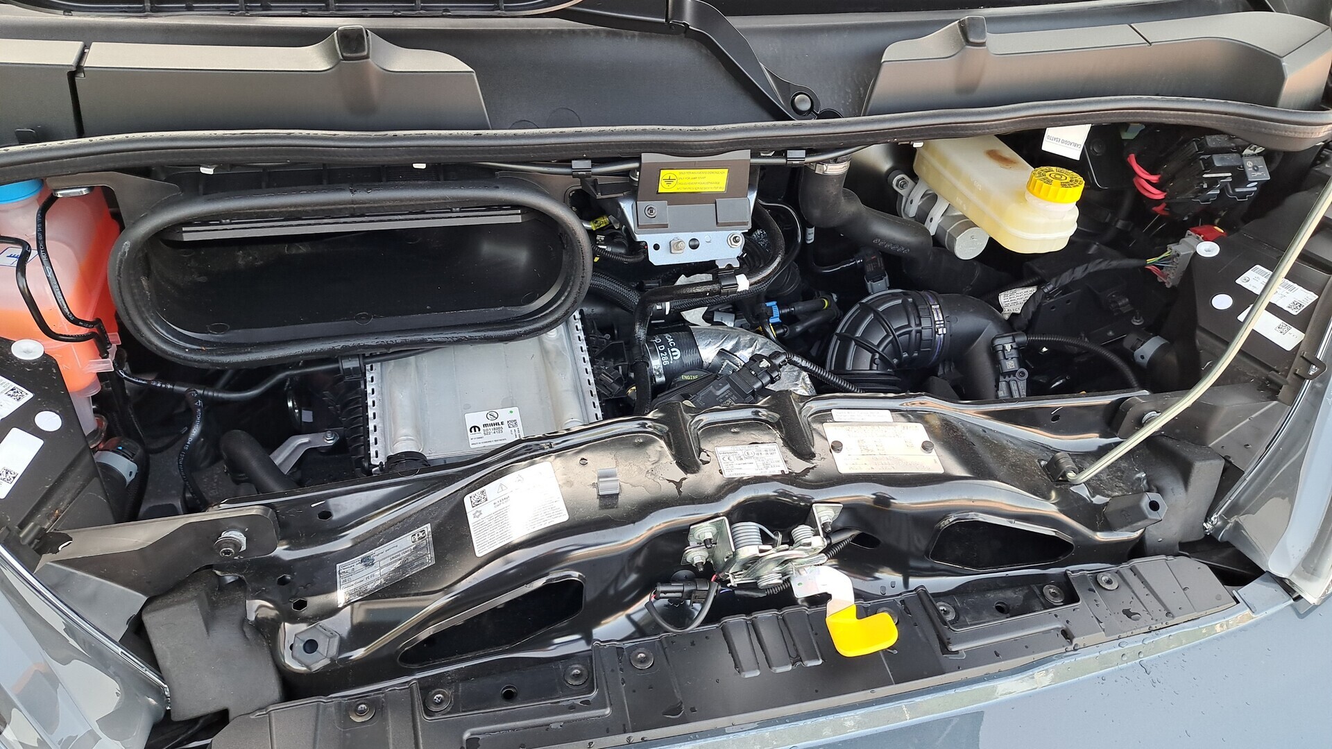 TOYOTA Proace MAX 2025