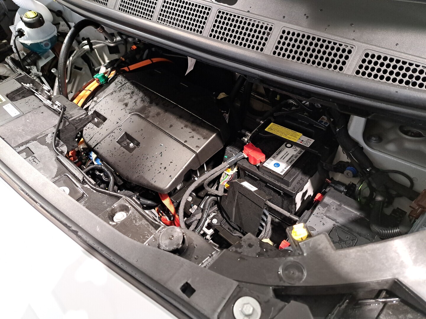 TOYOTA PROACE 24